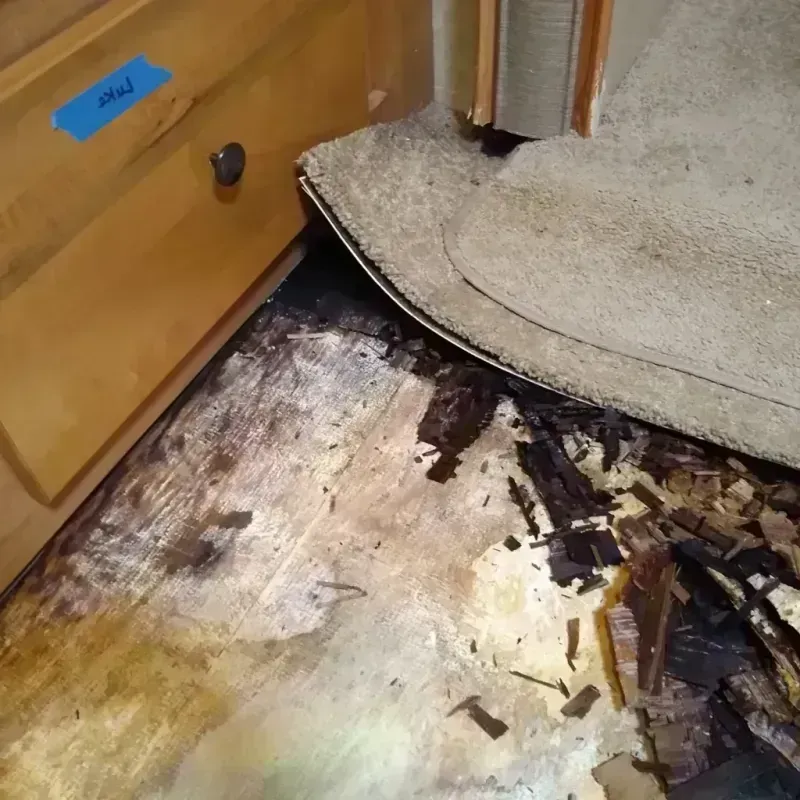 Wood Floor Water Damage in Sicklerville, NJ